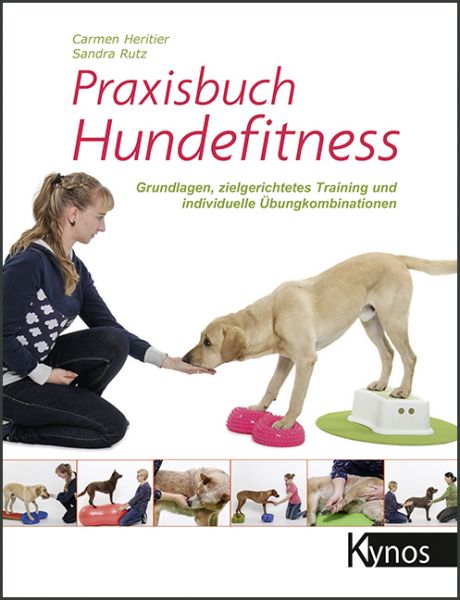 Praxisbuch Hundefitness